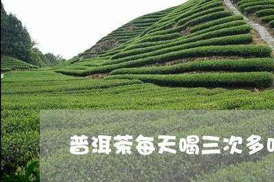 普洱茶每天喝三次多吗/2023092638350