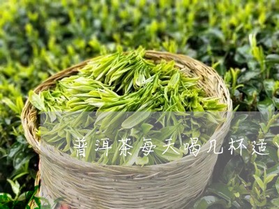 普洱茶每天喝几杯适中/2023072482935