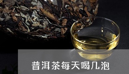 普洱茶每天喝几泡/2023120416358