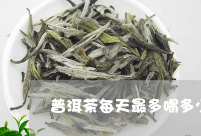 普洱茶每天最多喝多少/2023100878272