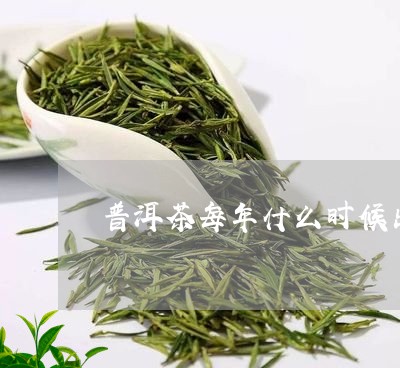 普洱茶每年什么时候出/2023072424169