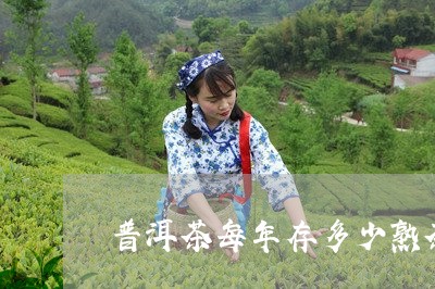 普洱茶每年存多少熟茶树/2023110751513