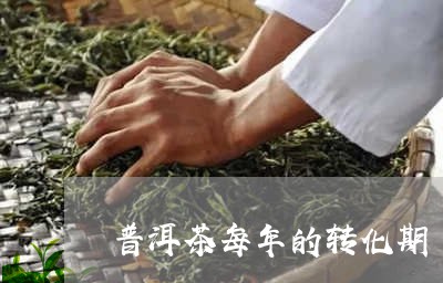 普洱茶每年的转化期/2023120525269