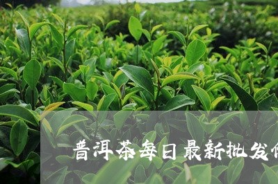 普洱茶每日最新批发价格是多少钱/2023060235461