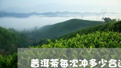 普洱茶每次冲多少合适/2023100817351