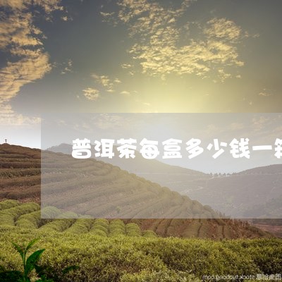 普洱茶每盒多少钱一箱价格/2023110711595