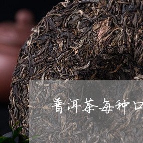 普洱茶每种口味不一样/2023092663715