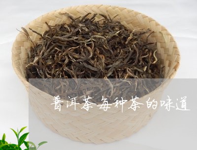 普洱茶每种茶的味道/2023091478472