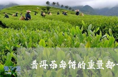 普洱茶每饼的重量都一样吗/2023083003930