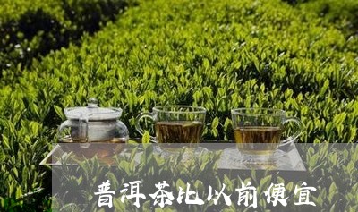 普洱茶比以前便宜/2023110730706