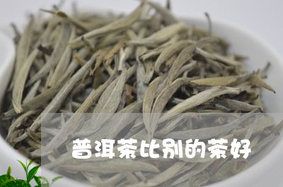 普洱茶比别的茶好/2023102656140