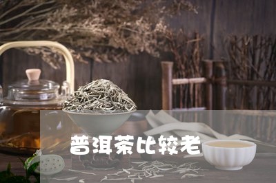 普洱茶比较老/2023091208460