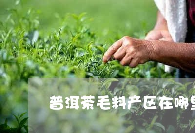 普洱茶毛料产区在哪里/2023110342704