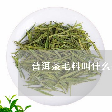 普洱茶毛料叫什么茶名字/2023112870482