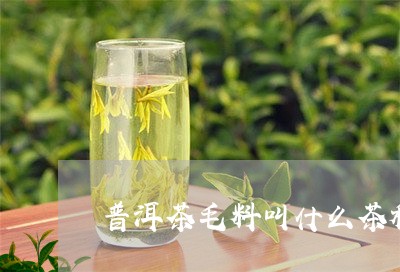 普洱茶毛料叫什么茶种类/2023112829485