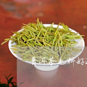 普洱茶毛料好还是压饼/2023092913636