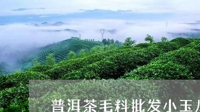 普洱茶毛料批发小玉儿/2023112771606