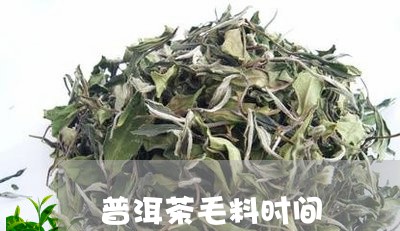 普洱茶毛料时间/2023082667271