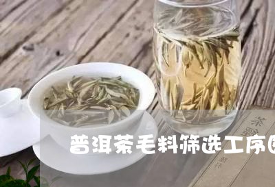 普洱茶毛料筛选工序图解/2023120783925