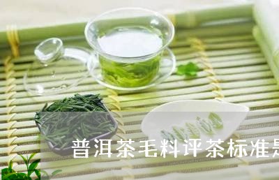 普洱茶毛料评茶标准是多少/2023121783917