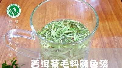 普洱茶毛料颜色淡/2023112665936