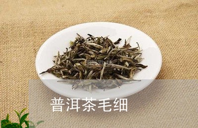 普洱茶毛细/2023090574728