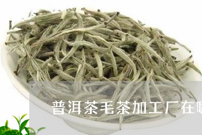 普洱茶毛茶加工厂在哪里/2023050582926