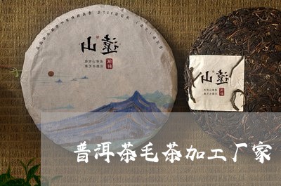 普洱茶毛茶加工厂家/2023121779282