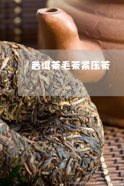 普洱茶毛茶紧压茶/2023062870692