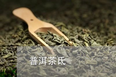 普洱茶氐/2023083162925