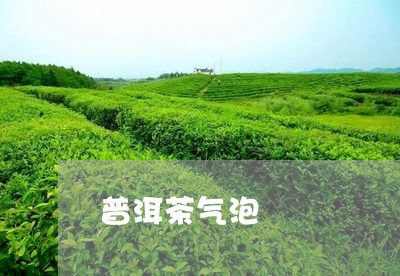 普洱茶气泡/2023090619261