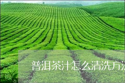 普洱茶汁怎么清洗方法最好/2023121798592