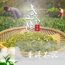 普洱茶汇/2023110860391