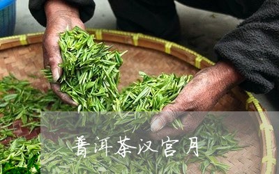 普洱茶汉宫月/2023042585275