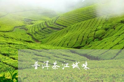 普洱茶江城味/2023042721069