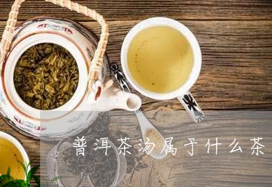 普洱茶汤属于什么茶类/2023120673815