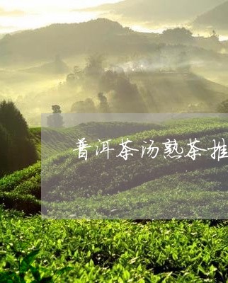 普洱茶汤熟茶推荐哪种茶/2023112774936