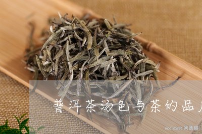 普洱茶汤色与茶的品质/2023072463928