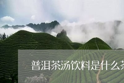 普洱茶汤饮料是什么茶种/2023110798160