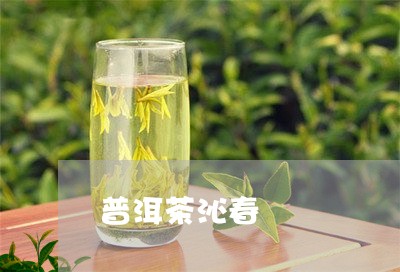 普洱茶沁春/2023081873726