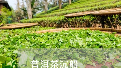 普洱茶沉船/2023090519614