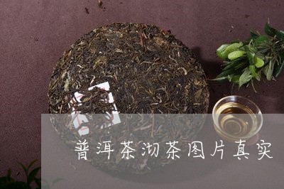 普洱茶沏茶图片真实/2023082651704