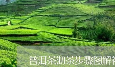 普洱茶沏茶步骤图解视频/2023083072736