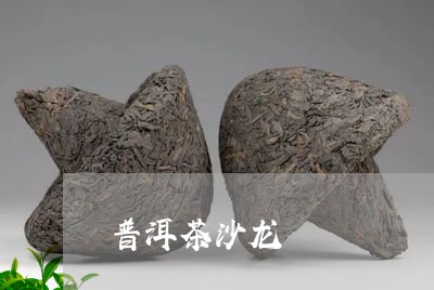 普洱茶沙龙/2023090532714