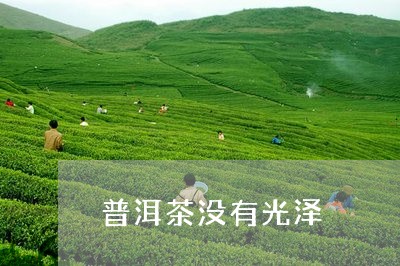 普洱茶没有光泽/2023083023046