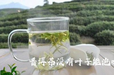 普洱茶没有叶子能泡吗/2023120614049