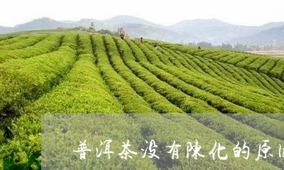 普洱茶没有陈化的原因/2023120612825