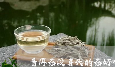 普洱茶没芽头的茶好喝吗/2023110128282