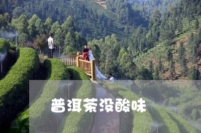 普洱茶没酸味/2023042718213