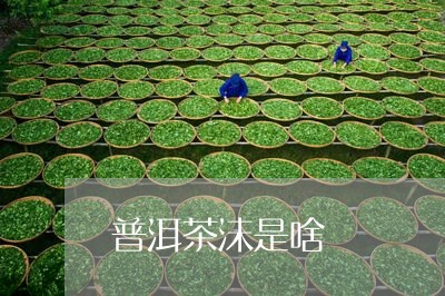 普洱茶沫是啥/2023042512029